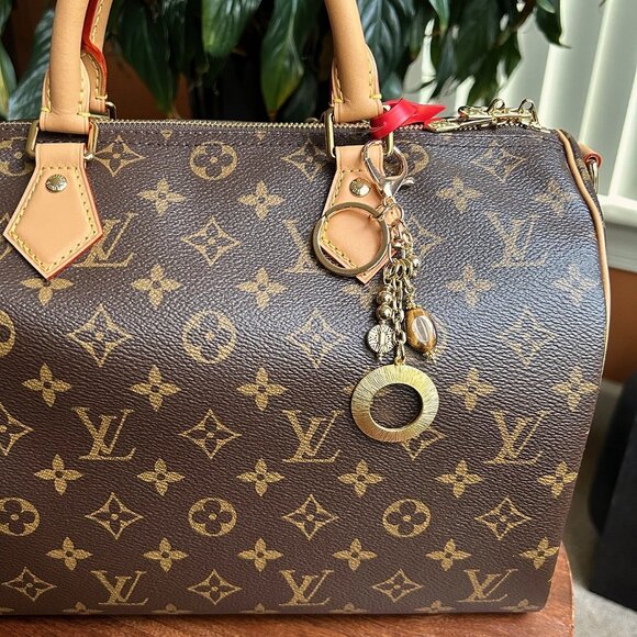 TIGER'S EYE CIRCLE Bag Charm Brown and Gold Tone 🐆 - Picture 2 of 8